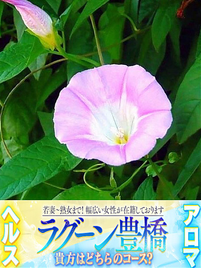 ゆめ